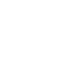Grupo-Mateus.png