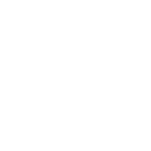 Microlins.png